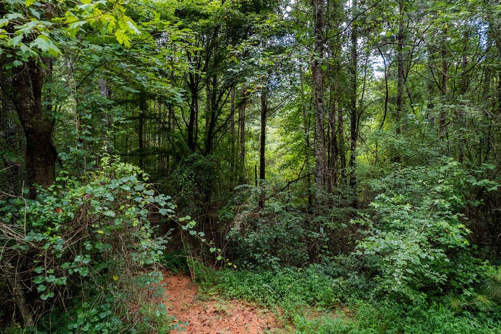 13.59 AC Ridgeway Church Road, Ellijay GA 30540 - Photo