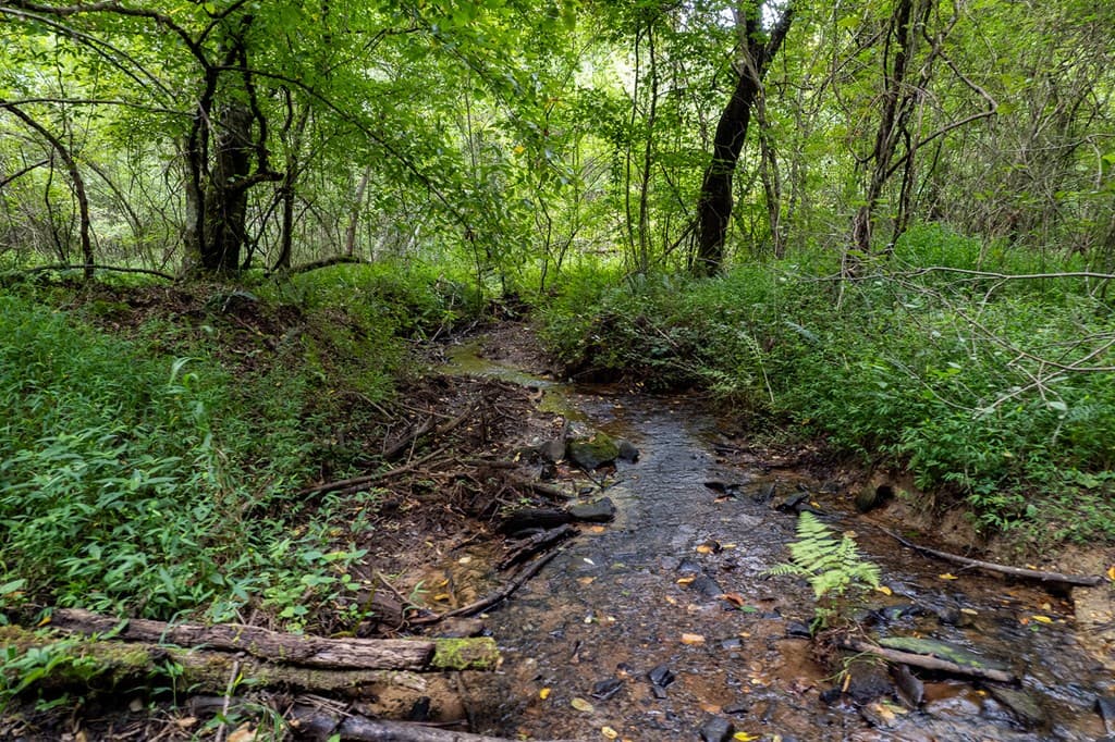 13.59 AC Ridgeway Church Road, Ellijay GA 30540 - Photo