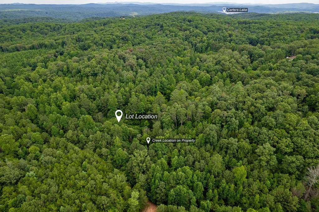 13.59 AC Ridgeway Church Road, Ellijay GA 30540 - Photo