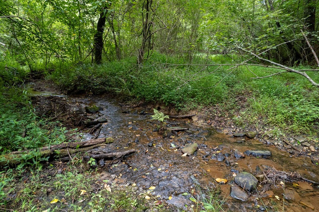 13.59 AC Ridgeway Church Road, Ellijay GA 30540 - Photo