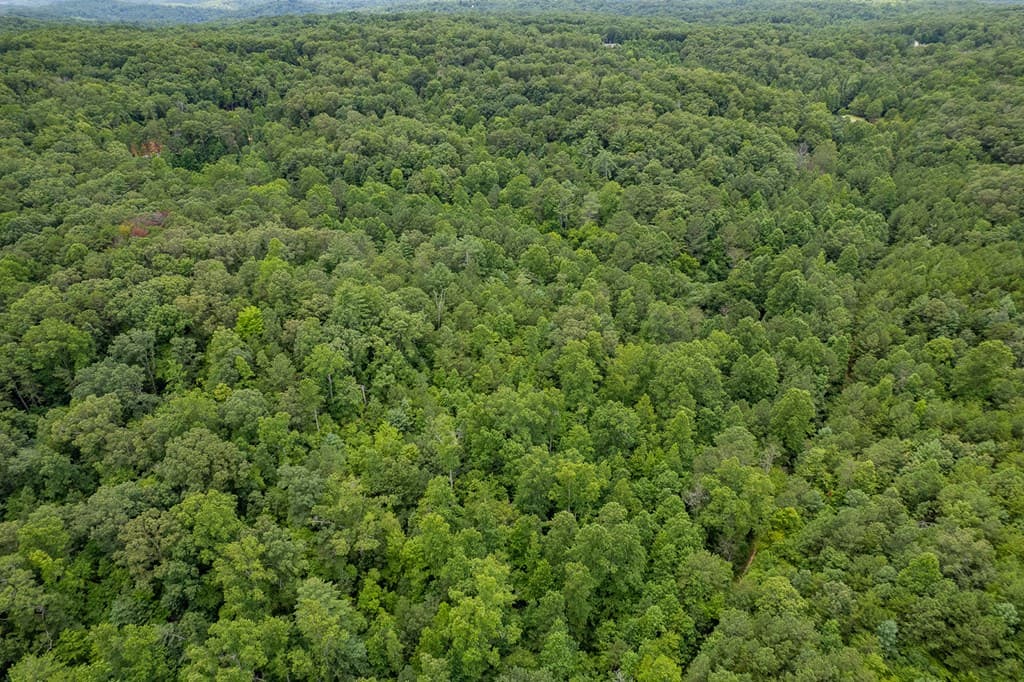13.59 AC Ridgeway Church Road, Ellijay GA 30540 - Photo