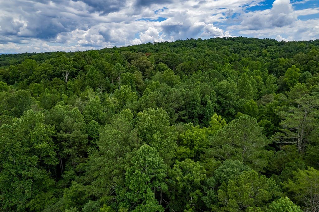 13.59 AC Ridgeway Church Road, Ellijay GA 30540 - Photo