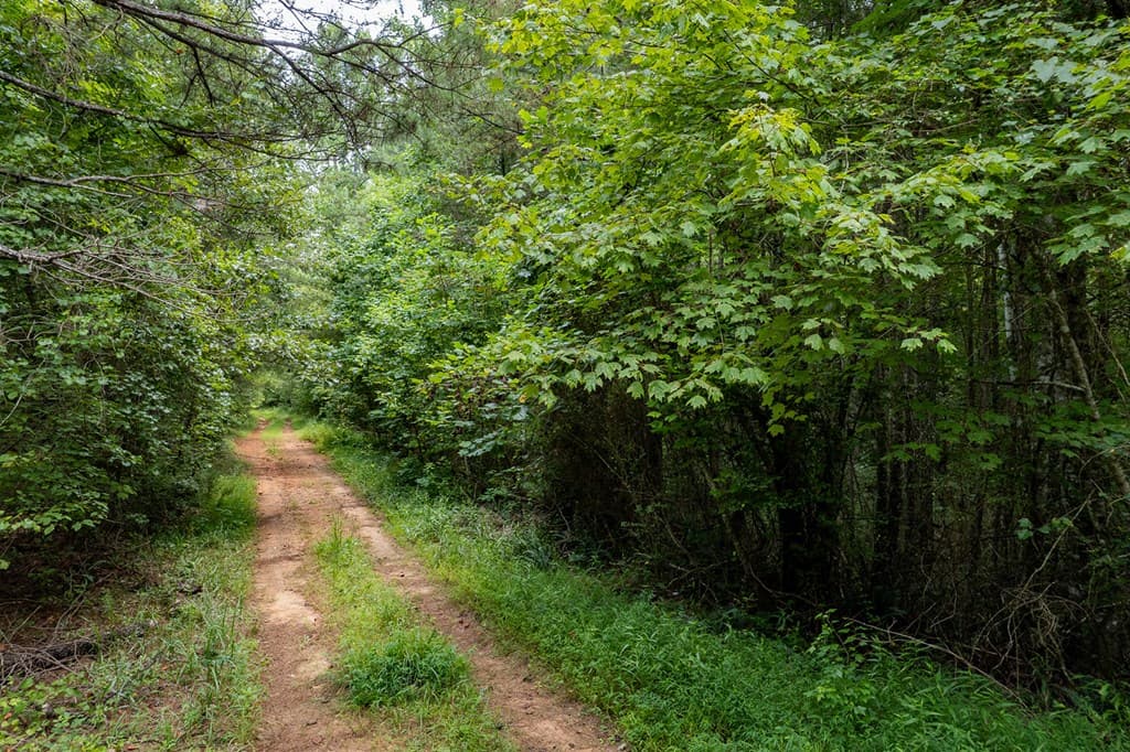 13.59 AC Ridgeway Church Road, Ellijay GA 30540 - Photo