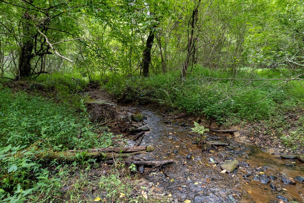 13.59 AC Ridgeway Church Road, Ellijay GA 30540 - Photo