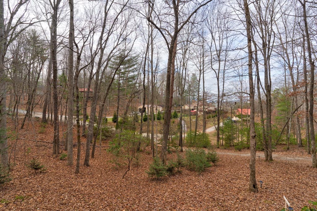 80 Treetop Lane, Blairsville GA 30512 - Photo