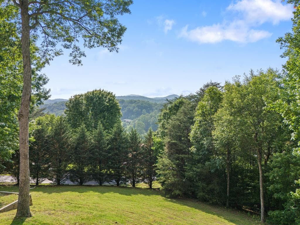 115 Wildcat Run Road, Suches GA 30572 - Photo