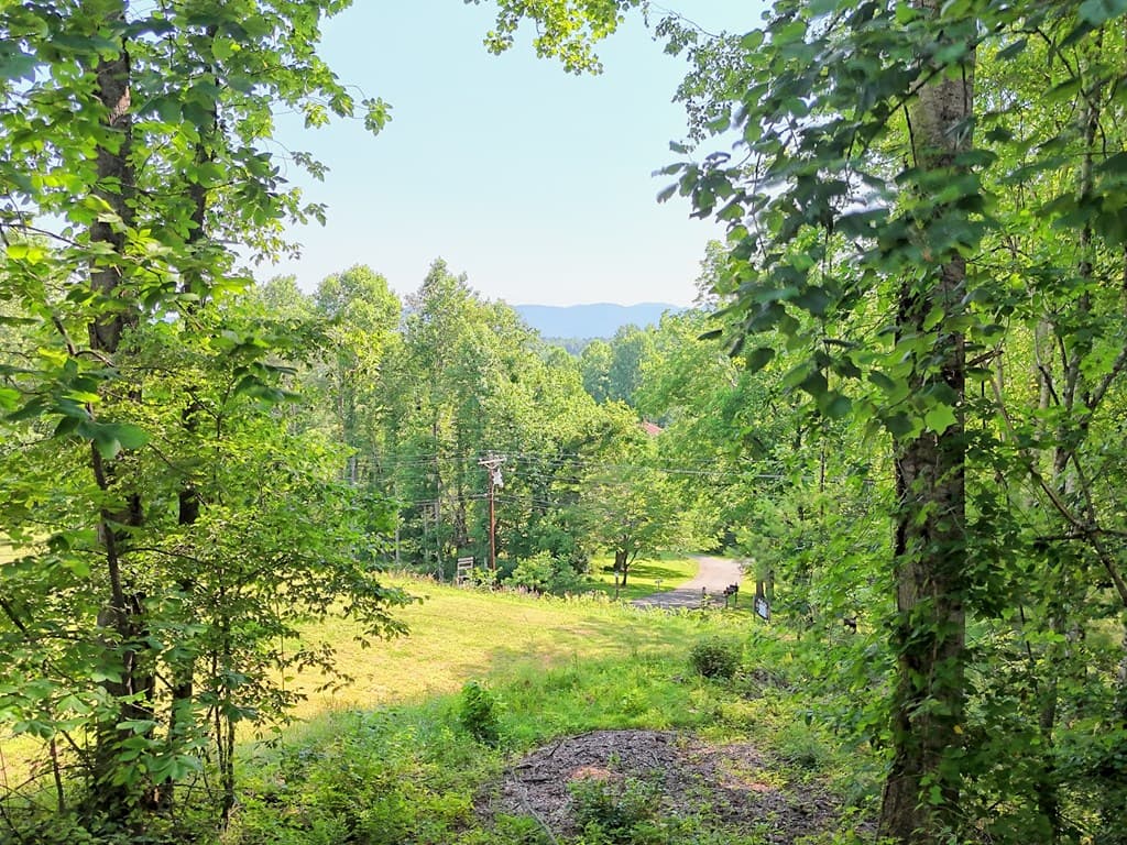 28 Coon Tail Road, Blairsville GA 30512 - Photo