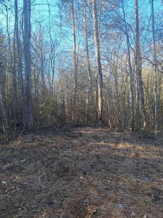 lots Bent Wood Lane, Blue Ridge GA 30513 - Primary photo
