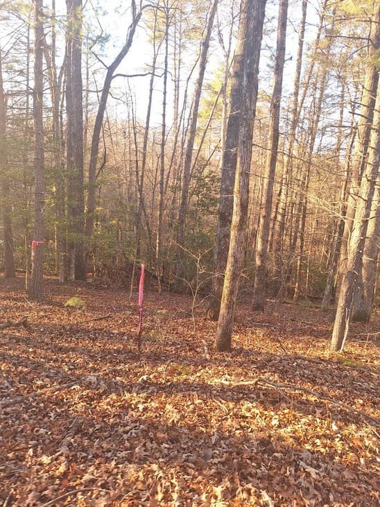 lots Mill Creek Acres, Blue Ridge GA 30513 - Photo