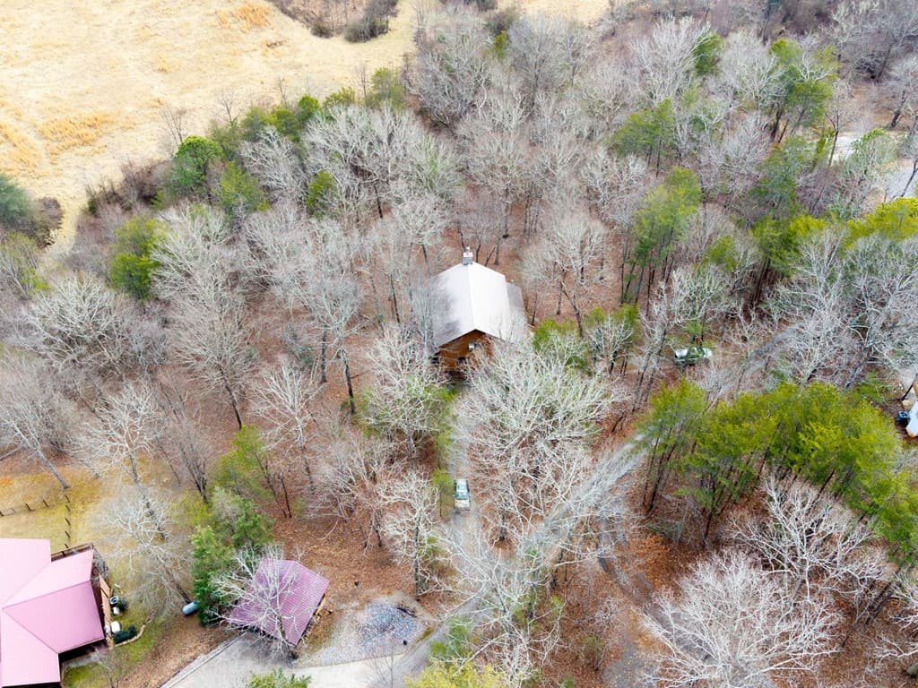 244 Lapidary Lane, Young Harris GA 30582 - Photo