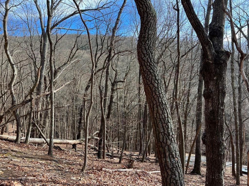 4528 Sassafras Mountain Trail, Jasper GA 30143 - Photo