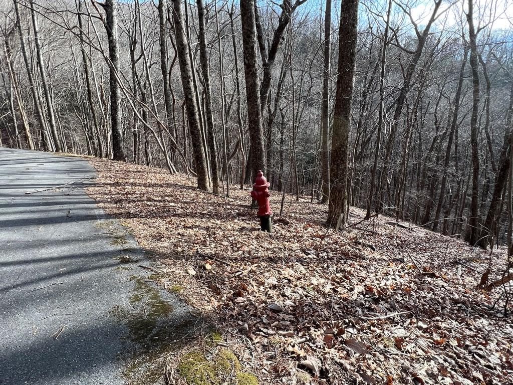 4528 Sassafras Mountain Trail, Jasper GA 30143 - Photo