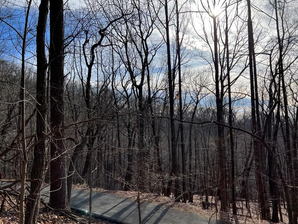 4528 Sassafras Mountain Trail, Jasper GA 30143 - Photo