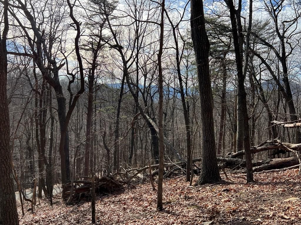 4528 Sassafras Mountain Trail, Jasper GA 30143 - Photo