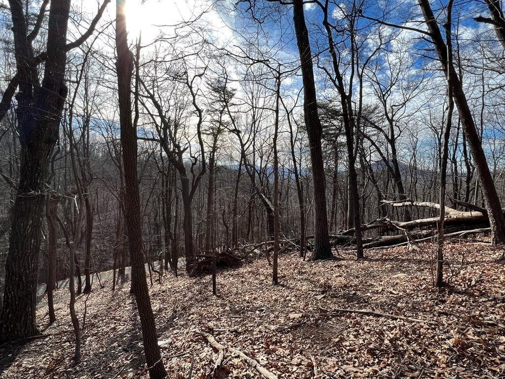 4528 Sassafras Mountain Trail, Jasper GA 30143 - Primary photo