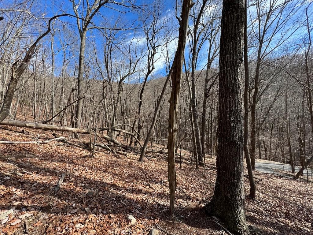 4528 Sassafras Mountain Trail, Jasper GA 30143 - Photo