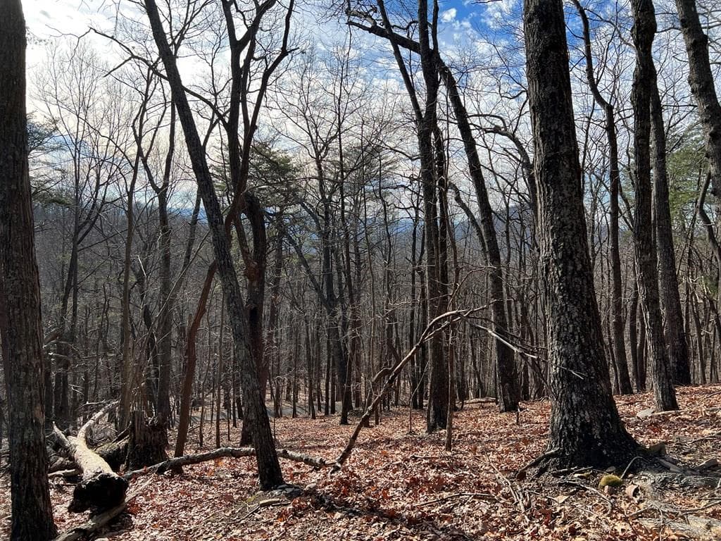 4528 Sassafras Mountain Trail, Jasper GA 30143 - Photo