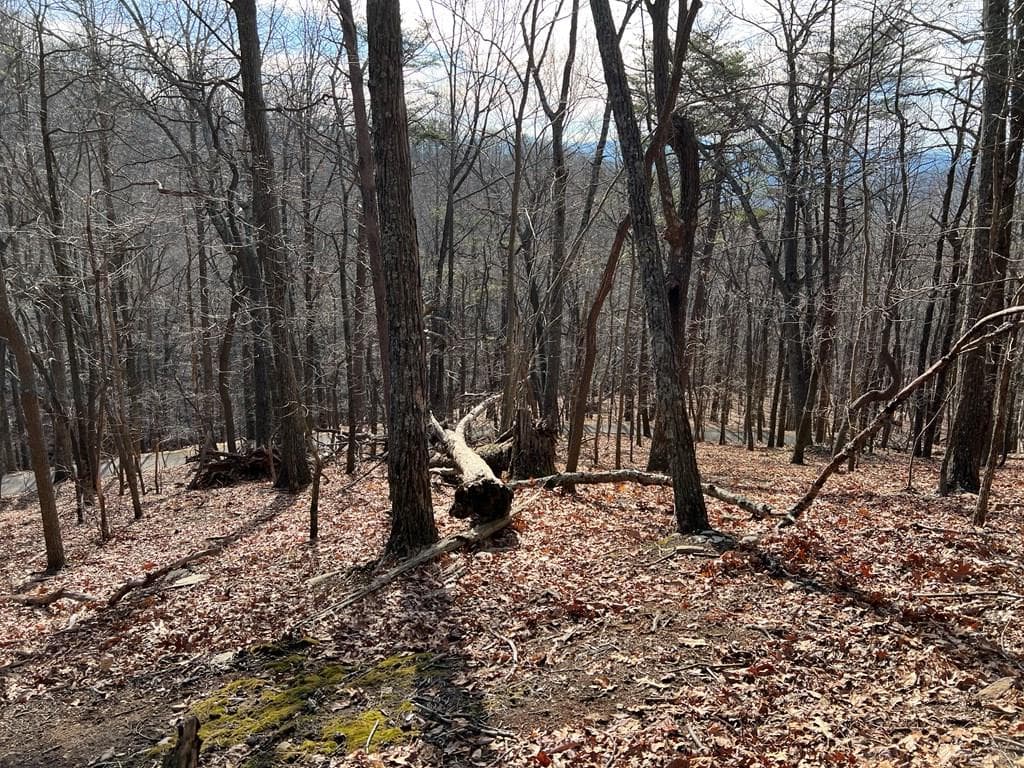 4528 Sassafras Mountain Trail, Jasper GA 30143 - Photo