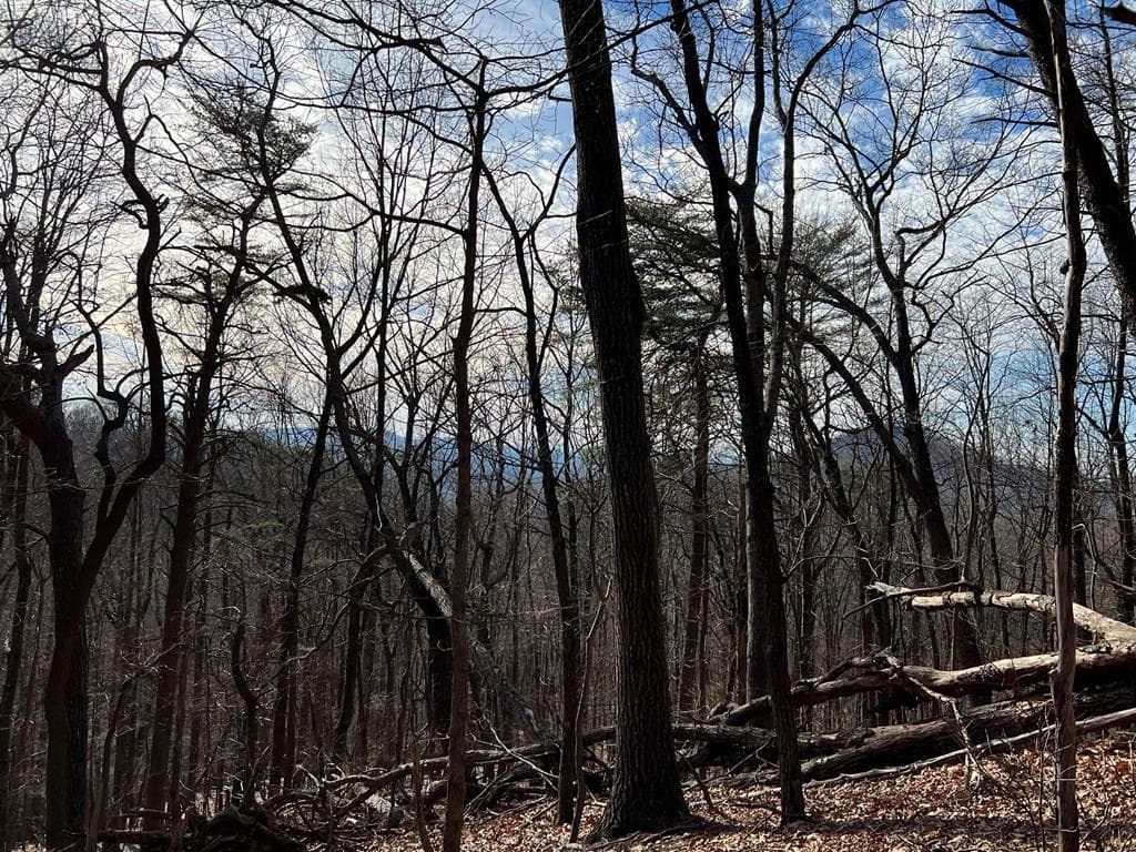 4528 Sassafras Mountain Trail, Jasper GA 30143 - Photo