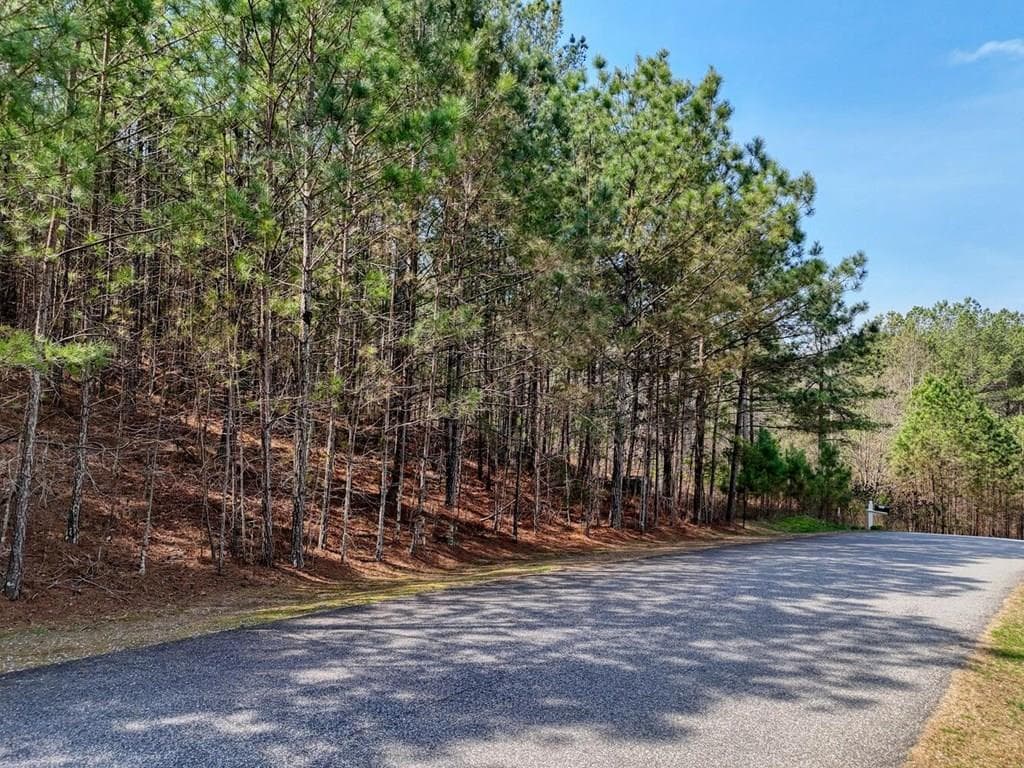 lot 38 Loftis Mountain, Blairsville GA 30512 - Photo
