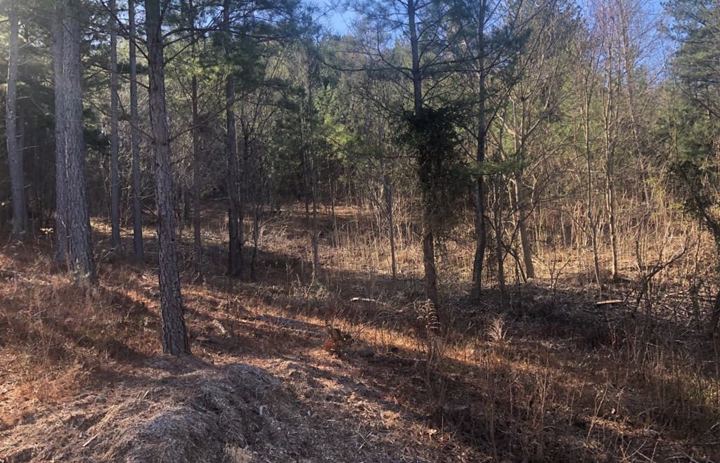 lot 38 Loftis Mountain, Blairsville GA 30512 - Photo