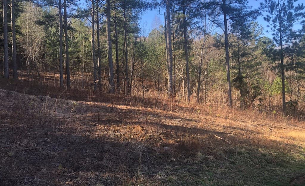 lot 38 Loftis Mountain, Blairsville GA 30512 - Photo