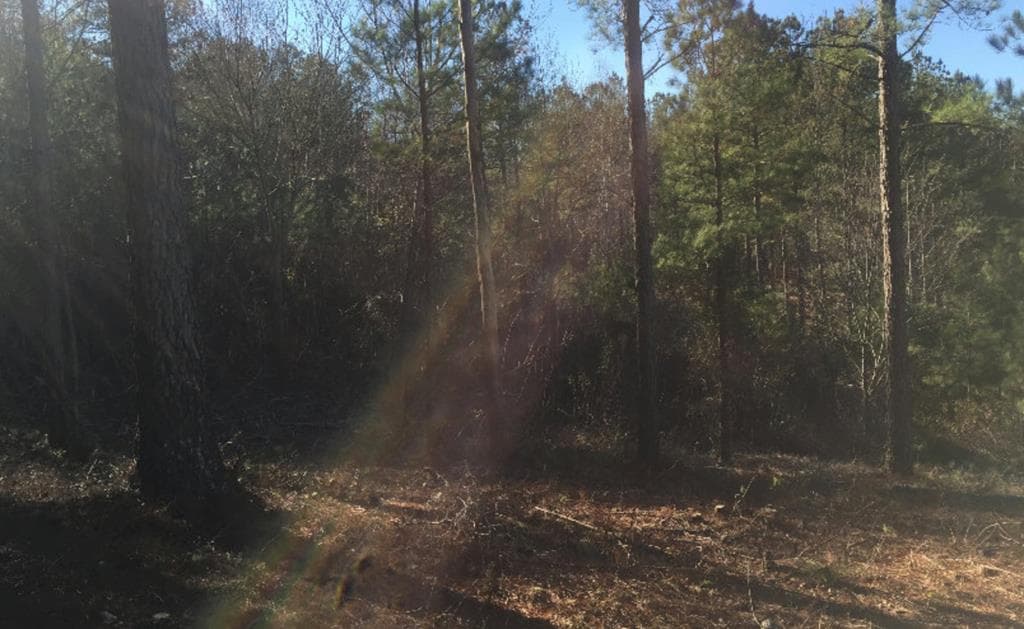 lot 38 Loftis Mountain, Blairsville GA 30512 - Photo