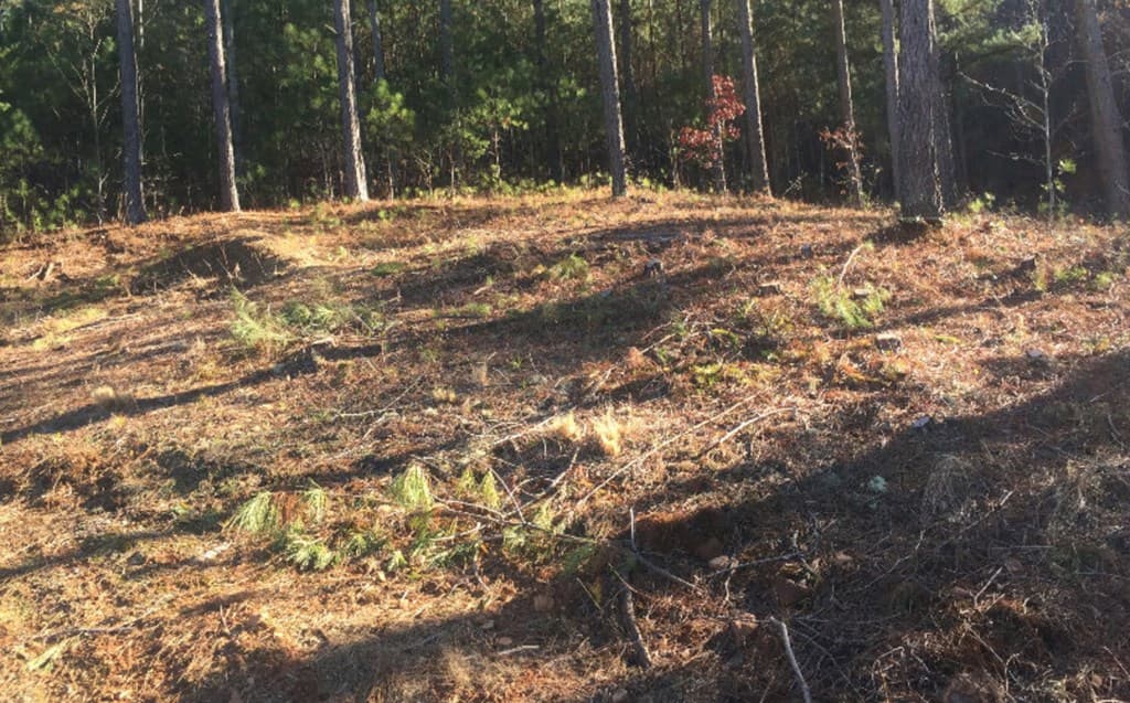 lot 38 Loftis Mountain, Blairsville GA 30512 - Photo