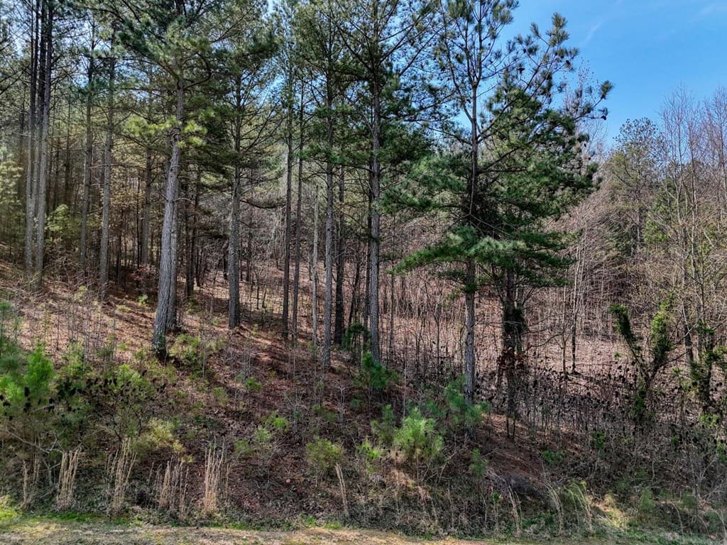lot 38 Loftis Mountain, Blairsville GA 30512 - Photo