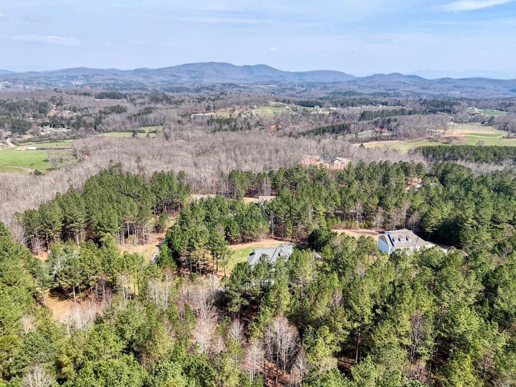 lot 38 Loftis Mountain, Blairsville GA 30512 - Photo