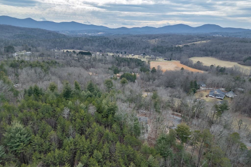 39 Lillian Way, Blairsville GA 30512 - Photo