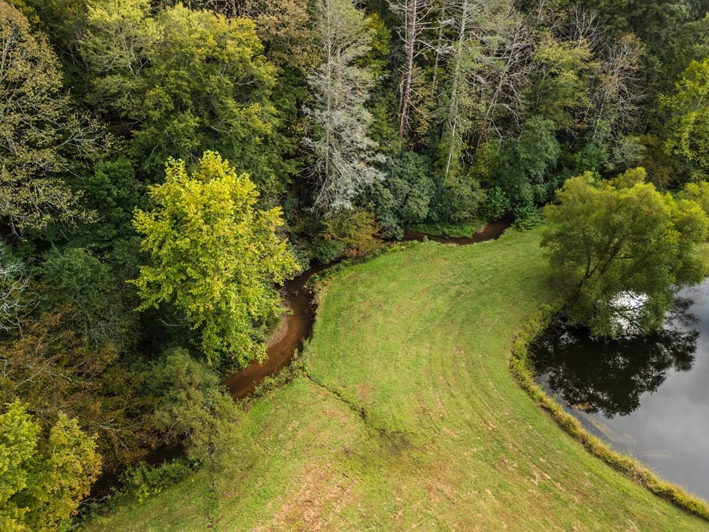7.93 Cutcane Road, Mineral Bluff GA 30559 - Photo