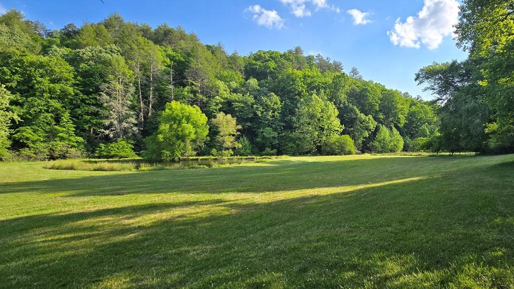 7.93 Cutcane Road, Mineral Bluff GA 30559 - Photo