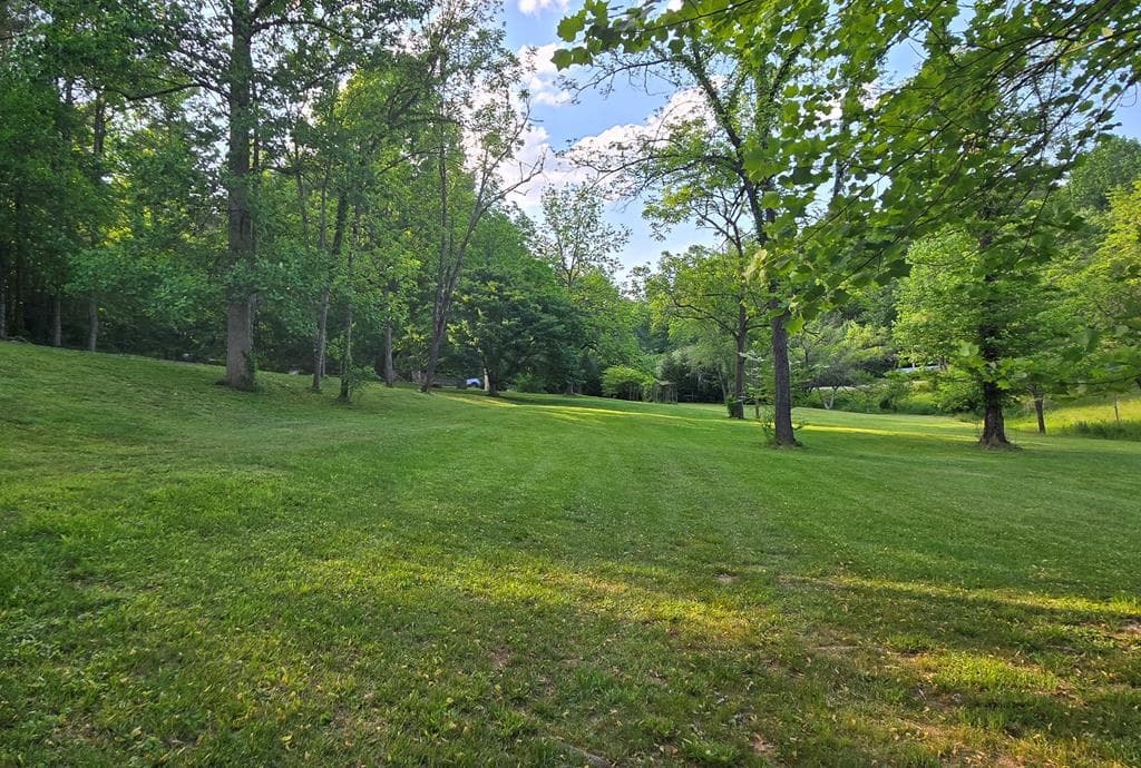 7.93 Cutcane Road, Mineral Bluff GA 30559 - Photo