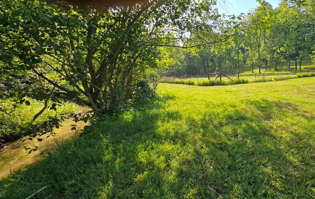7.93 Cutcane Road, Mineral Bluff GA 30559 - Photo
