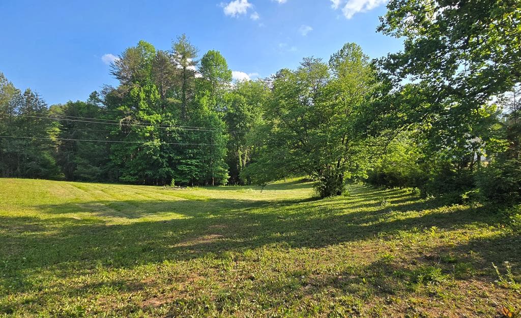 7.93 Cutcane Road, Mineral Bluff GA 30559 - Photo