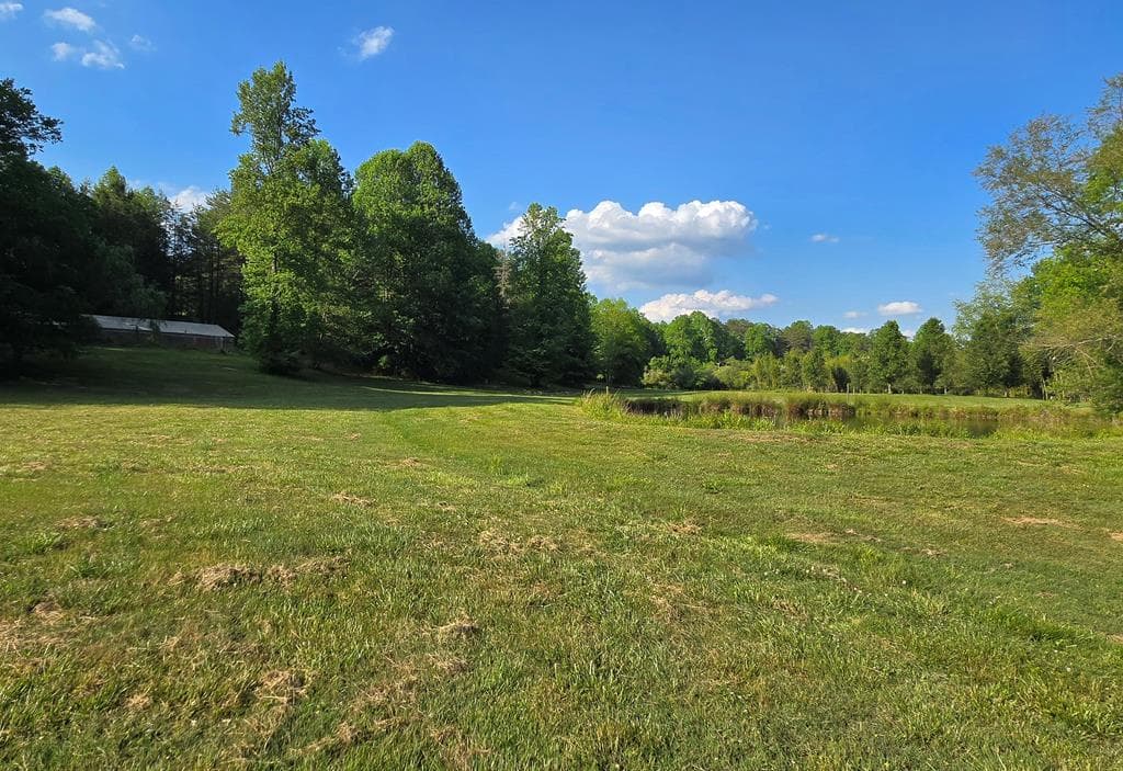 7.93 Cutcane Road, Mineral Bluff GA 30559 - Photo