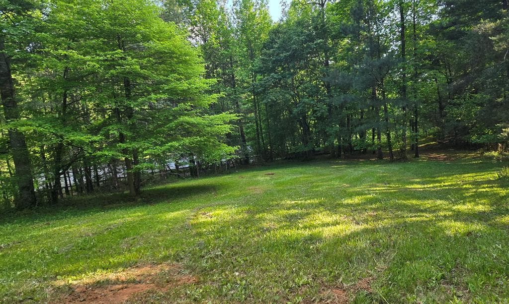 7.93 Cutcane Road, Mineral Bluff GA 30559 - Photo