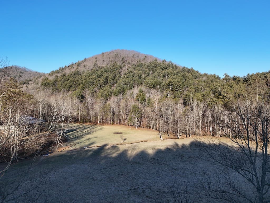Lot 1 Papas Mountain Road, Blairsville GA 30512 - Photo