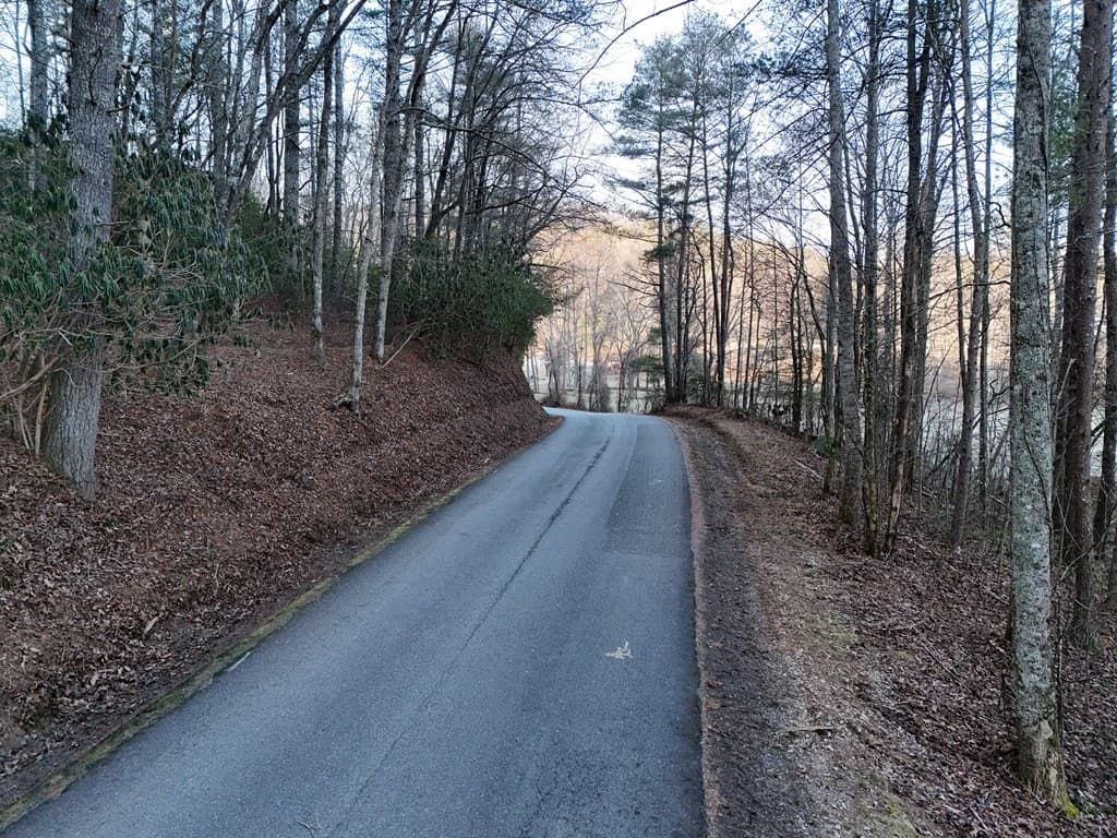 Lot 1 Papas Mountain Road, Blairsville GA 30512 - Photo