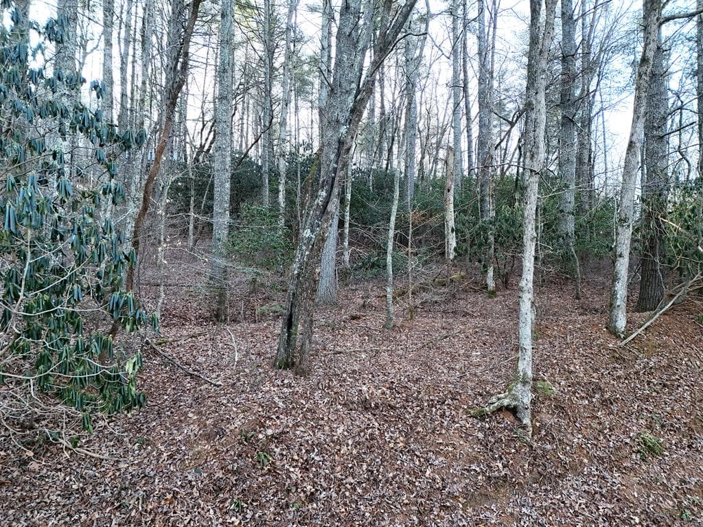 Lot 1 Papas Mountain Road, Blairsville GA 30512 - Primary photo