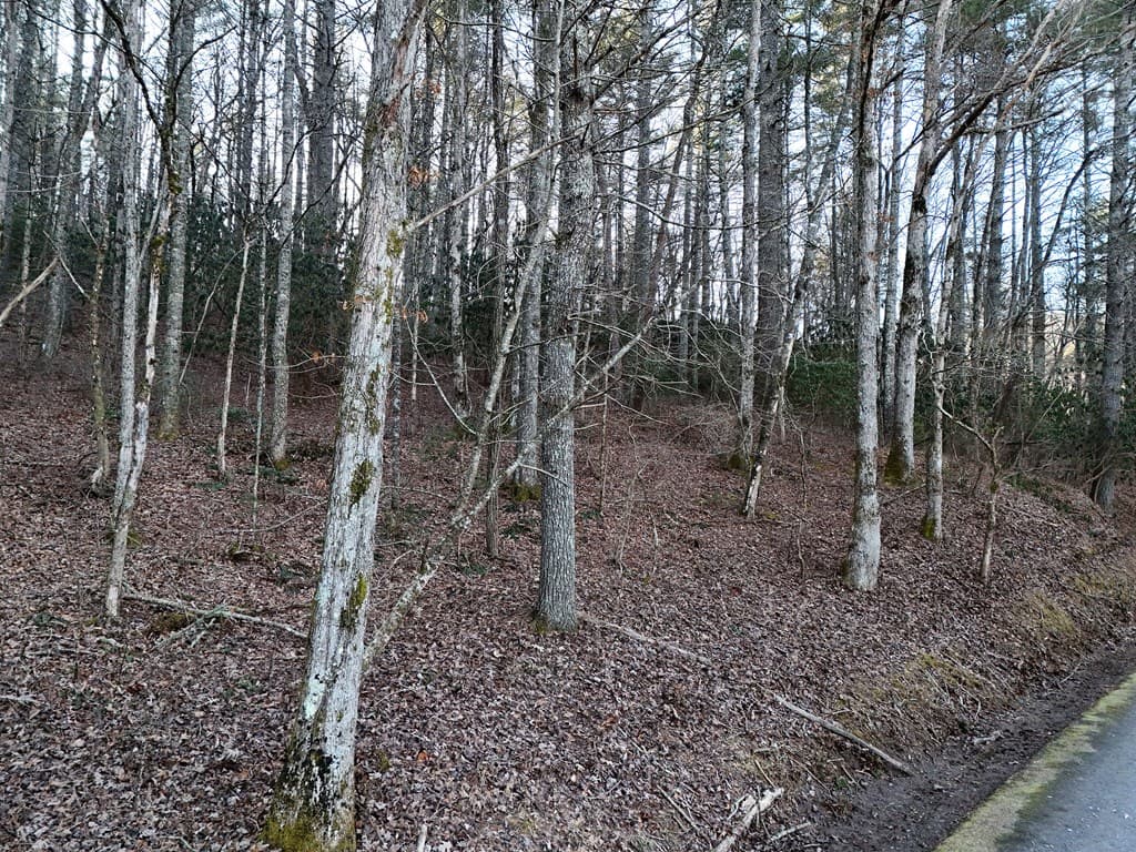 Lot 1 Papas Mountain Road, Blairsville GA 30512 - Photo