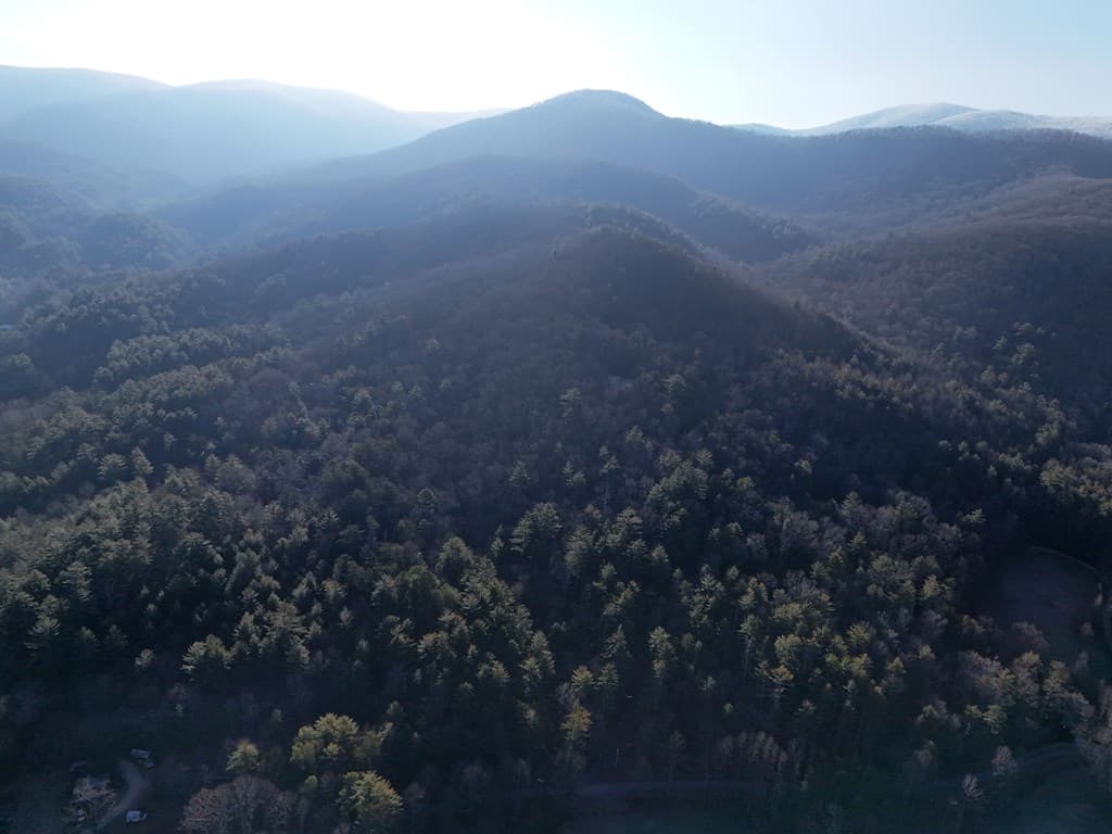 Lot 1 Papas Mountain Road, Blairsville GA 30512 - Photo
