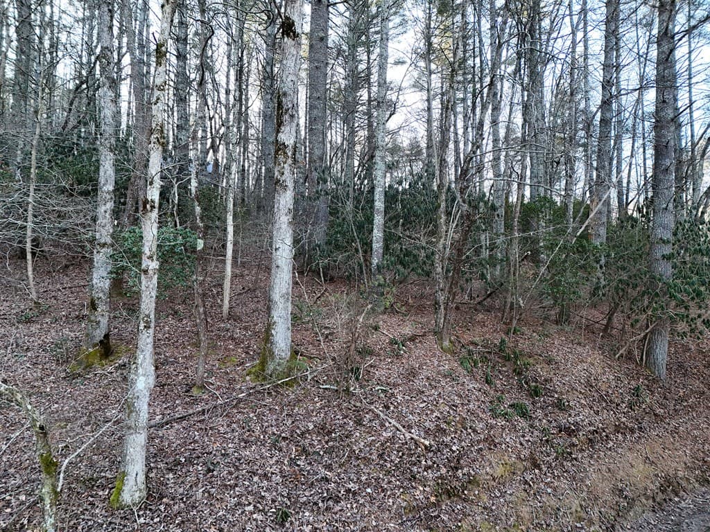 Lot 1 Papas Mountain Road, Blairsville GA 30512 - Photo