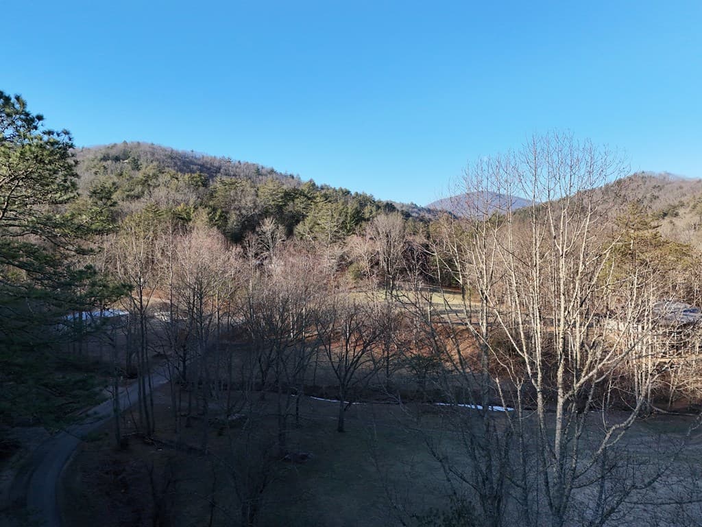 Lot 1 Papas Mountain Road, Blairsville GA 30512 - Photo