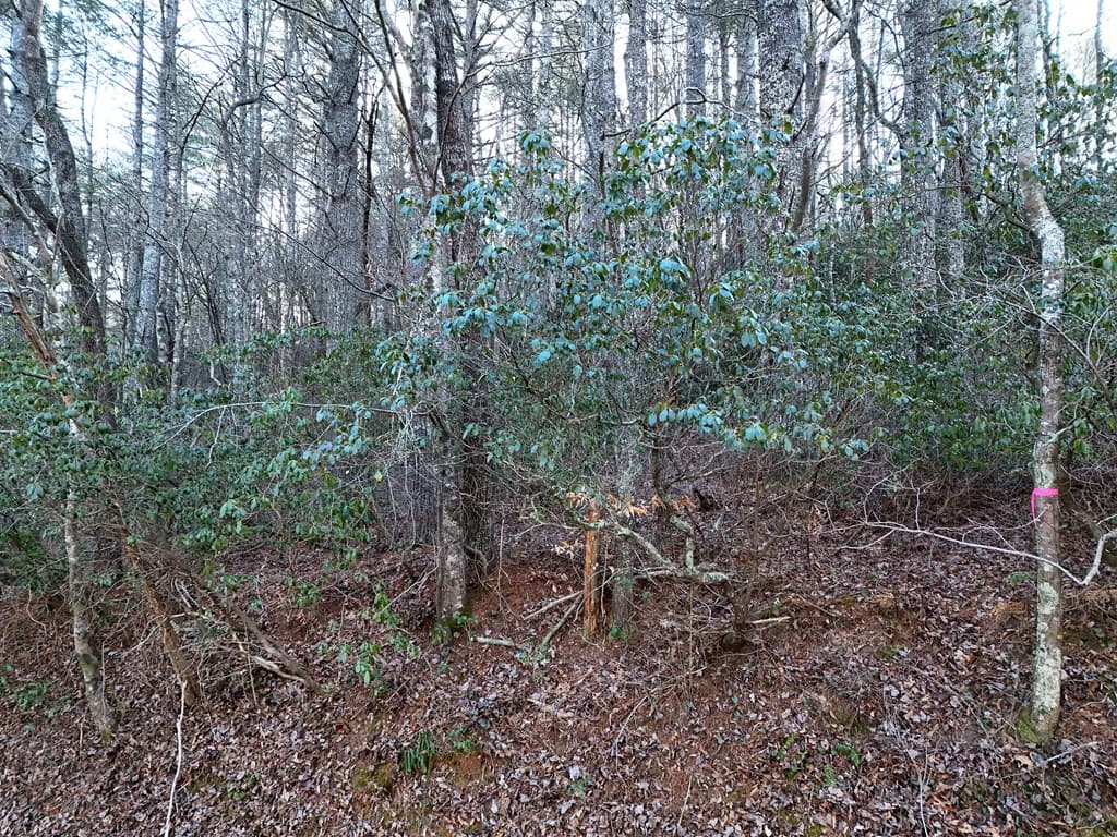 Lot 1 Papas Mountain Road, Blairsville GA 30512 - Photo