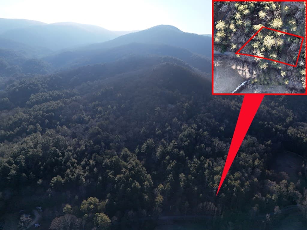 Lot 1 Papas Mountain Road, Blairsville GA 30512 - Photo