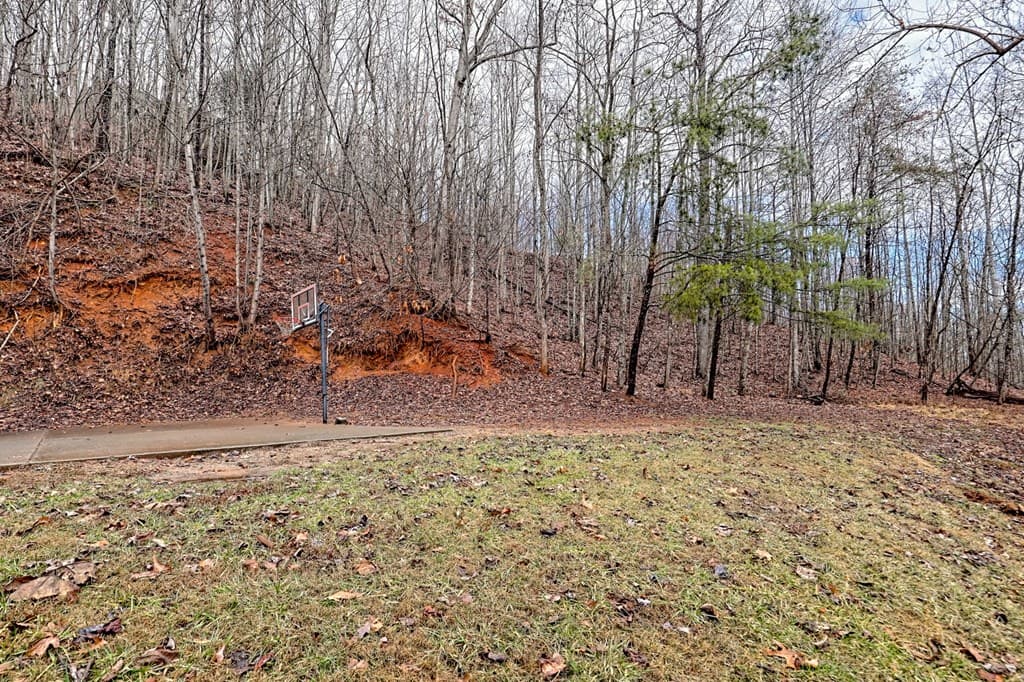 162 Eagles View Valley, Hayesville NC 28904 - Photo