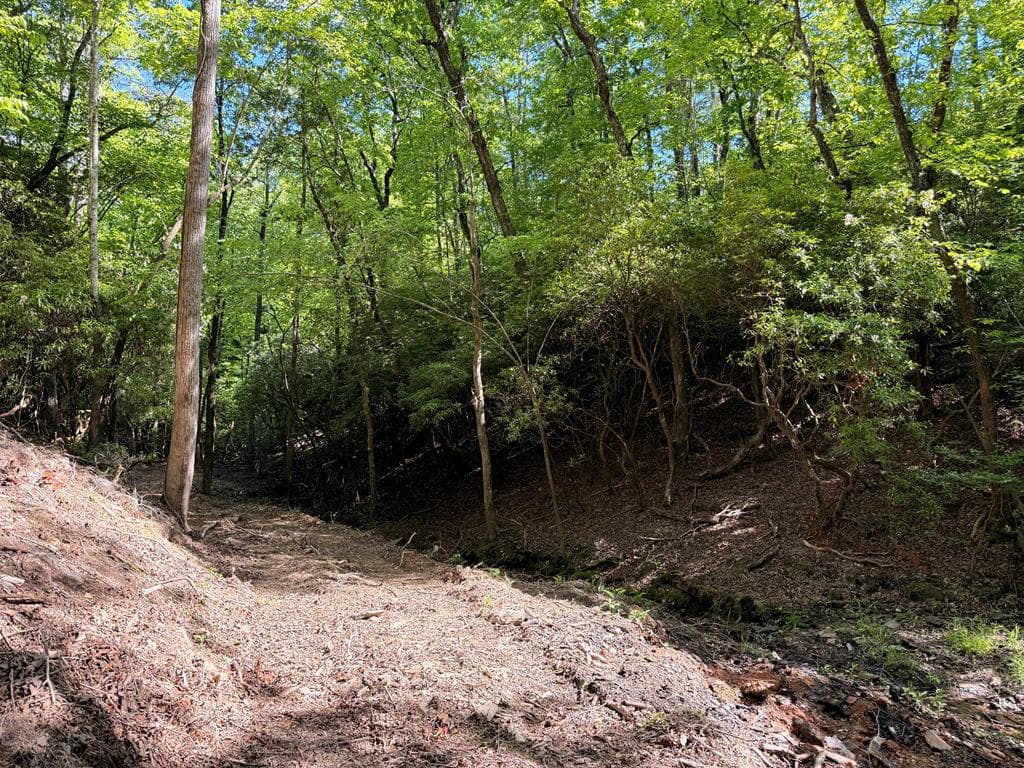 295 Mountain Laurel Ridge, Mineral Bluff GA 30559 - Photo