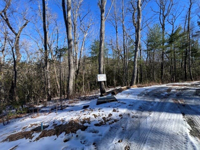 Lot 10 Kennedys Court, Blairsville GA 30512 - Photo